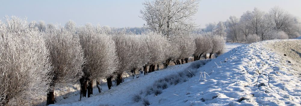 Start Samtgemeinde Nordkehdingen
